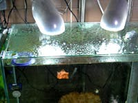 O 様 水槽の天板ガラス
