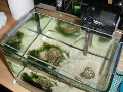Y 様 水槽の天板ガラス