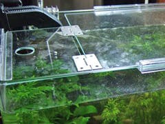 K 様 水槽の天板ガラス