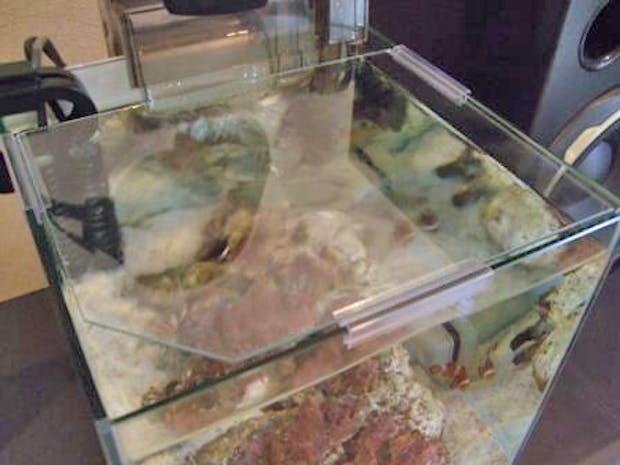 W 様  水槽の天板ガラス