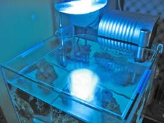 Y 様 水槽の天板ガラス