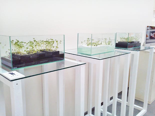 N大学 様 展示台の天板ガラス