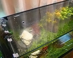 O.K様 水槽の天板ガラス①