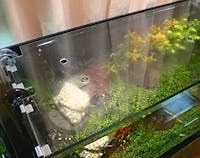 O.K様 水槽の天板ガラス①