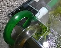 O.K様 水槽の天板ガラス②