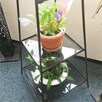 K様 ガラス棚板のガラス割れ替え