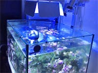 S様 海水魚水槽のフタ