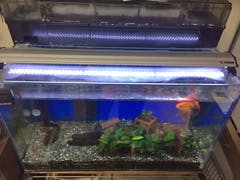 O様 金魚水槽の蓋