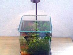 T.N様 アクアリウム天板