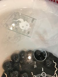 K.K様 テーブル天板