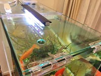 C.N様 水槽の蓋