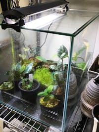 K.I様 水槽の蓋